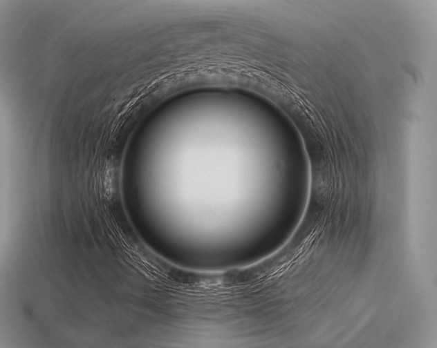 X0000113531490200909181124