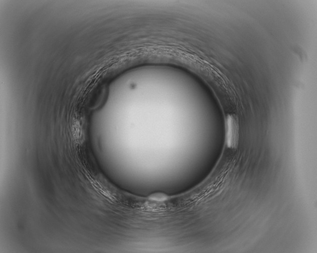 X0000113531491200909181124