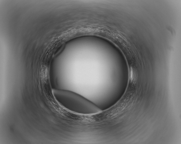 X0000113531492200909181124