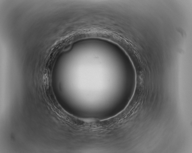 X0000113531493200909181124
