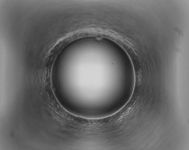 X0000113531494200909181124