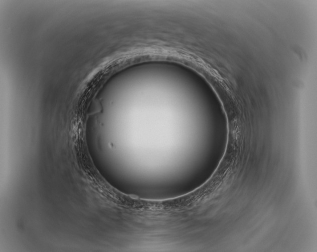 X0000113531495200909181124
