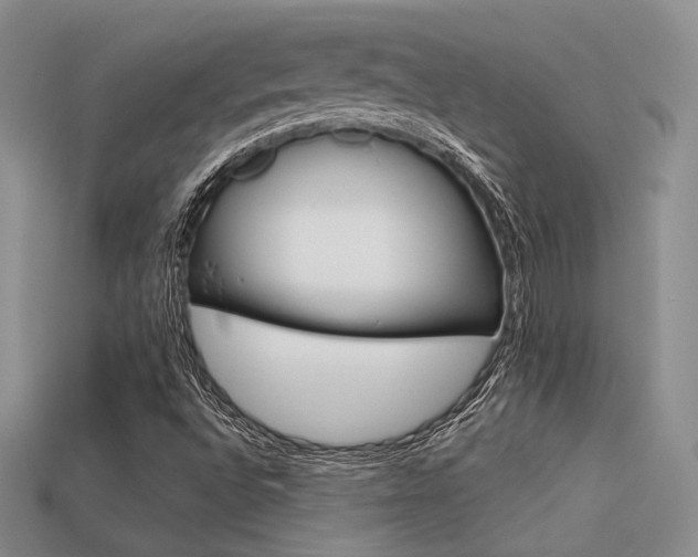 X0000113531496200909181124