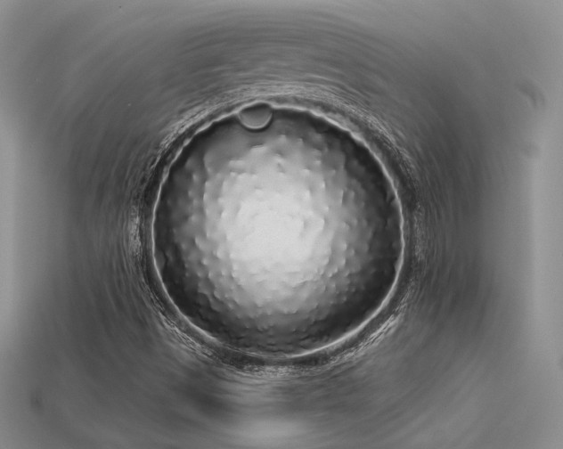 X0000113531497200909181124