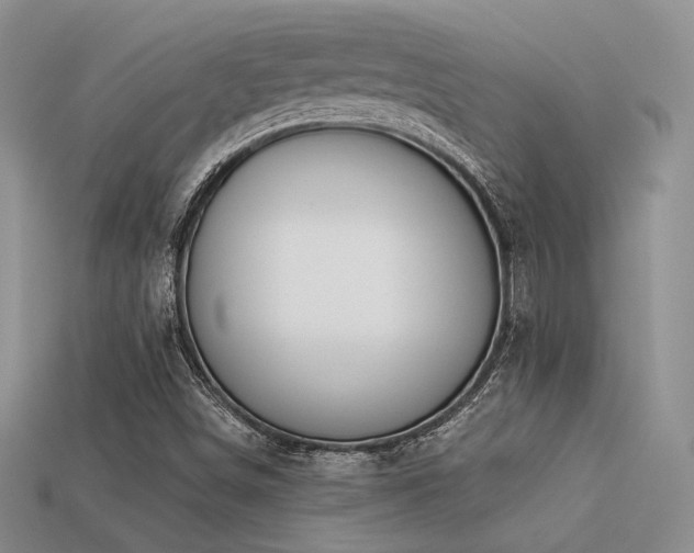 X0000113531498200909181124