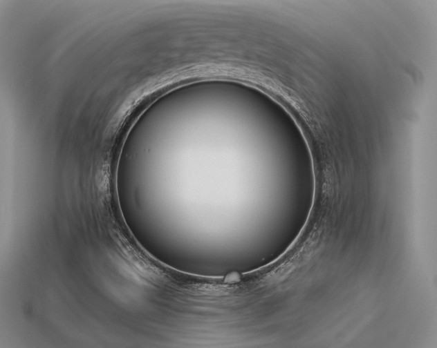 X0000113531499200909181124