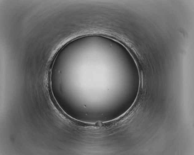 X0000113531500200909181124