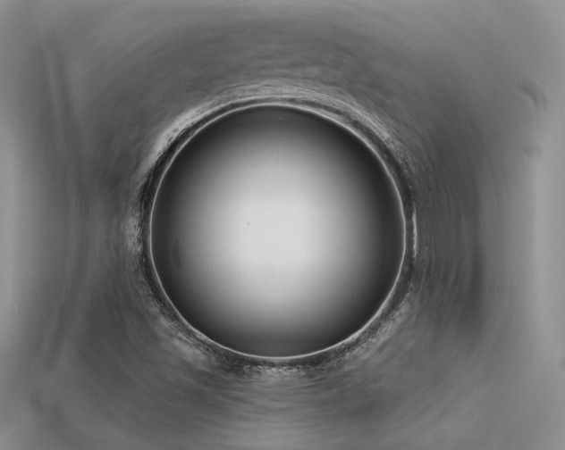 X0000113531501200909181124
