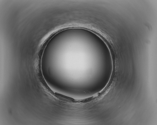 X0000113531502200909181124