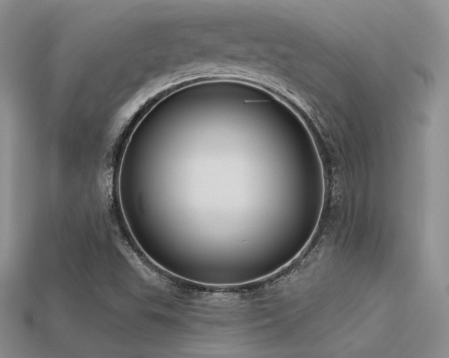 X0000113531503200909181124