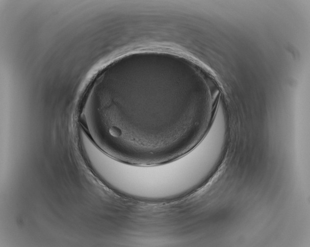 X0000113531506200909181124