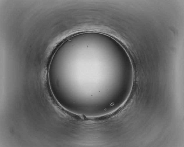 X0000113531507200909181124