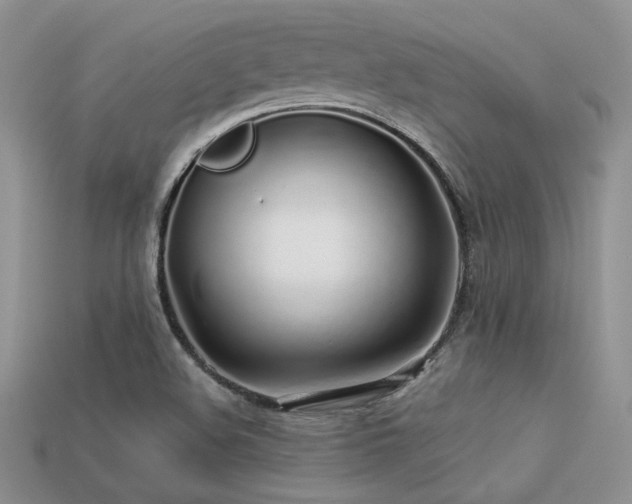 X0000113531508200909181124