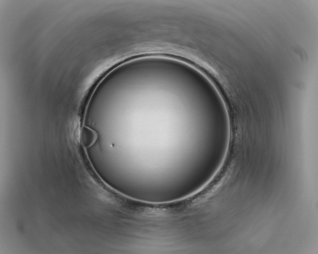 X0000113531509200909181124