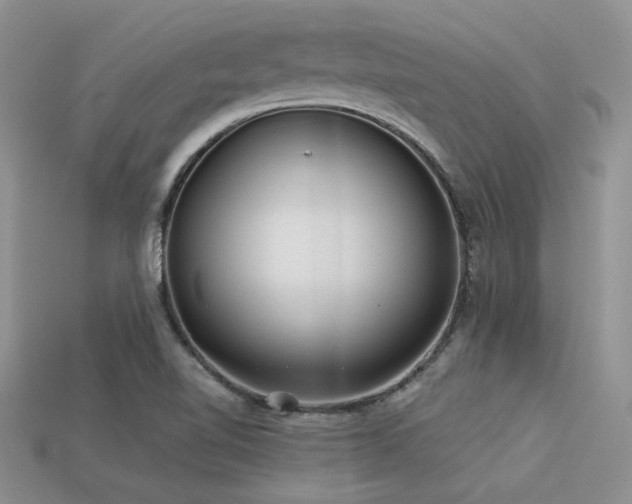 X0000113531510200909181124
