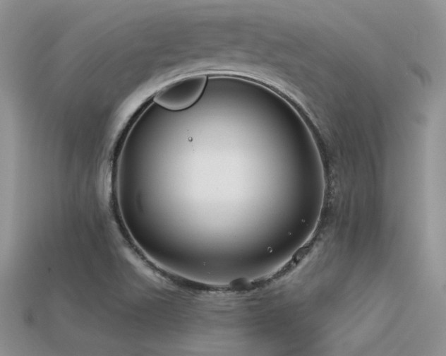 X0000113531511200909181124