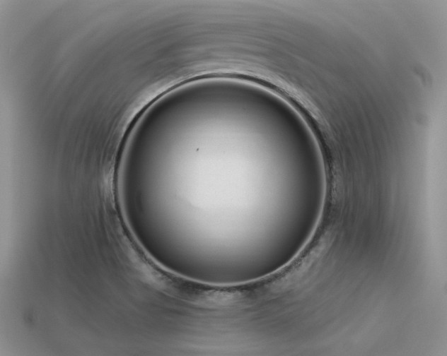 X0000113531513200909181124