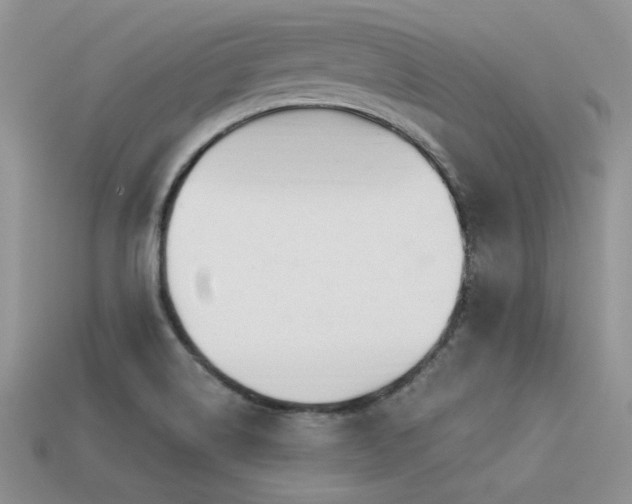 X0000113531514200909181124
