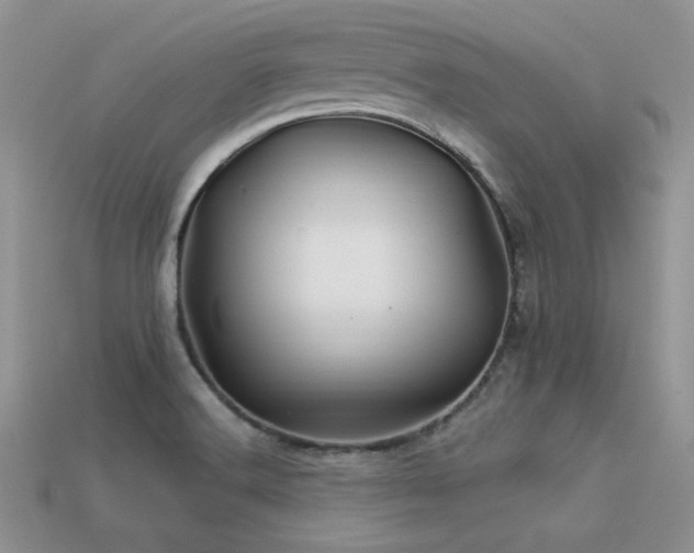 X0000113531516200909181124