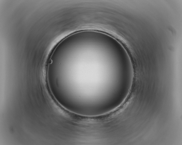 X0000113531517200909181124