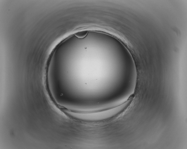 X0000113531518200909181124