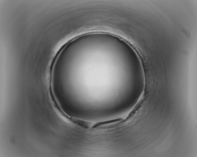 X0000113531519200909181124