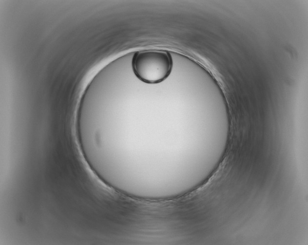 X0000113531520200909181124
