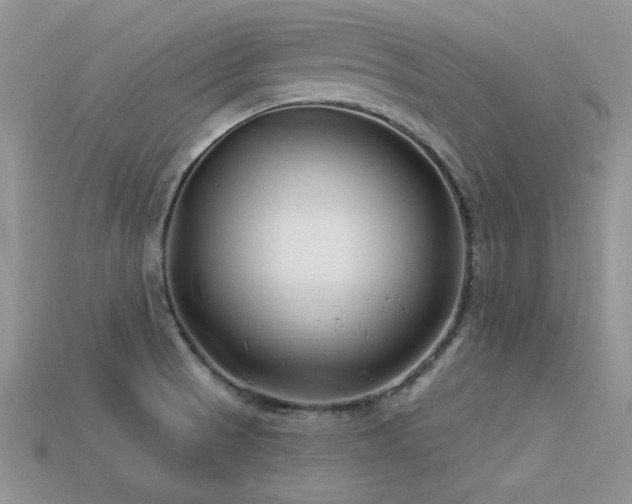 X0000113531521200909181124