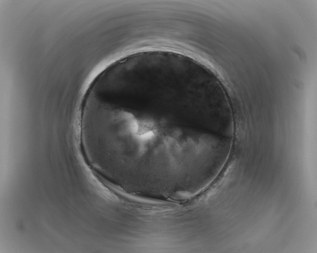 X0000113531522200909181124