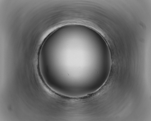 X0000113531523200909181124