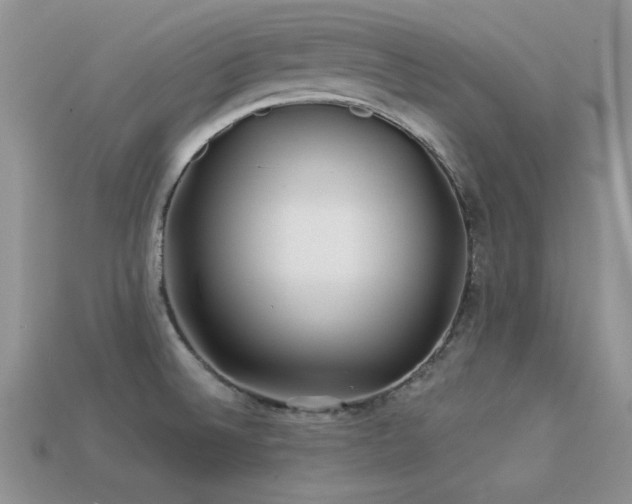 X0000113531524200909181124