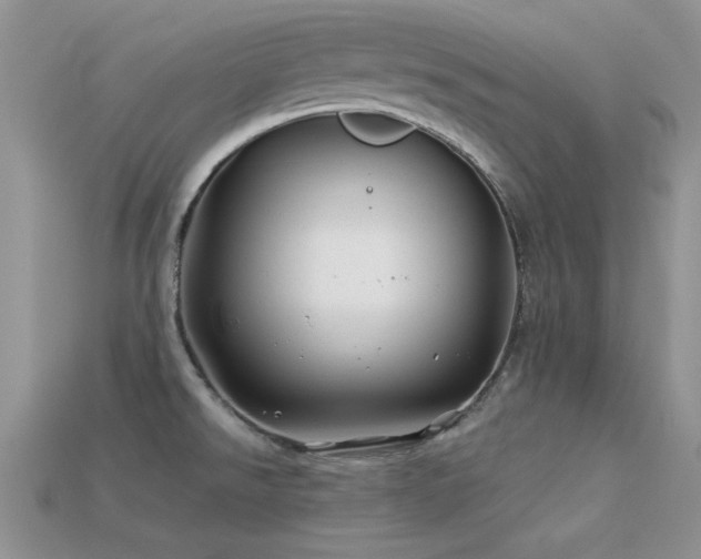 X0000113531526200909181124
