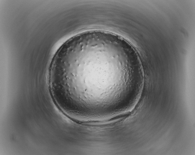 X0000113531527200909181124
