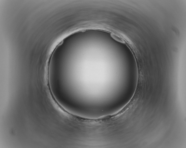 X0000113531528200909181124