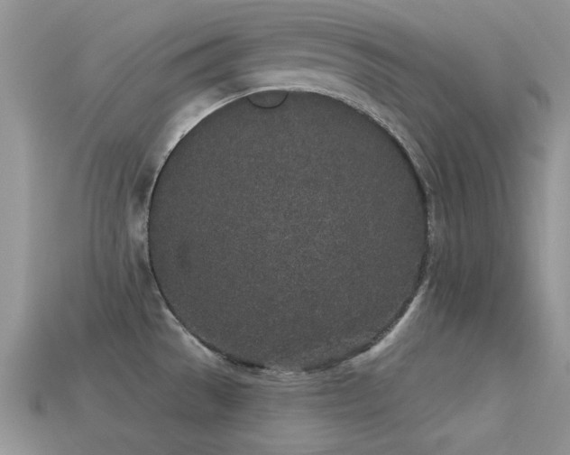 X0000113531529200909181124