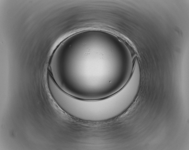 X0000113531530200909181124