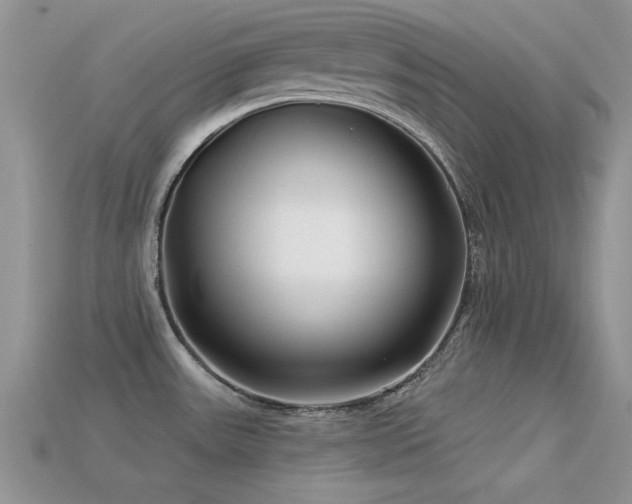 X0000113531531200909181124