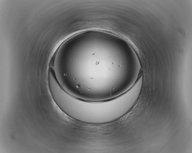 X0000113531532200909181124