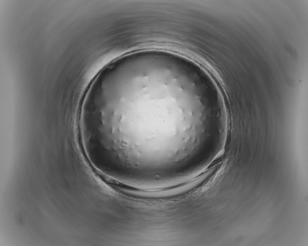 X0000113531533200909181124