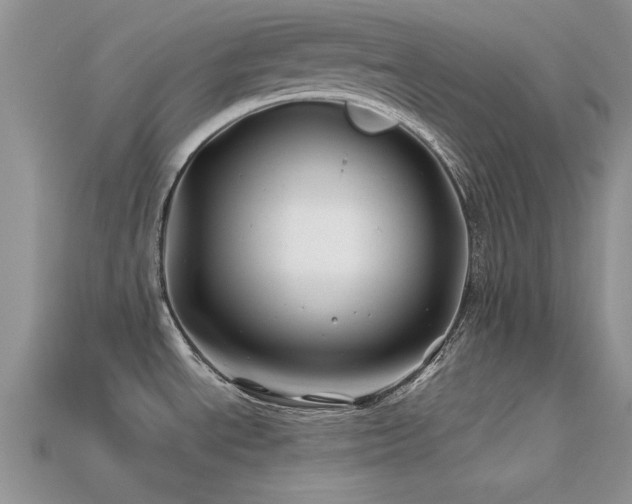 X0000113531534200909181124
