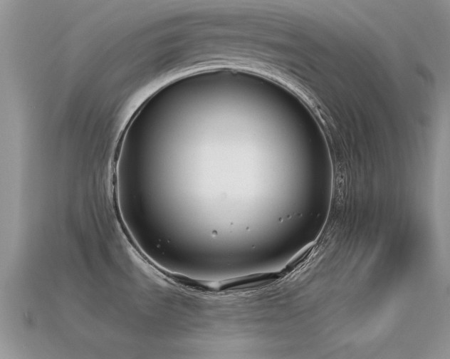 X0000113531535200909181124