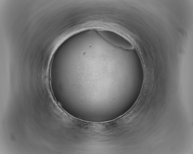 X0000113531536200909181124