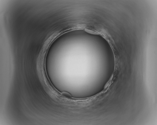 X0000113530001200909250915