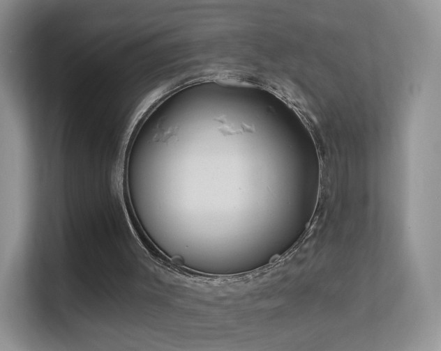 X0000113530003200909250915