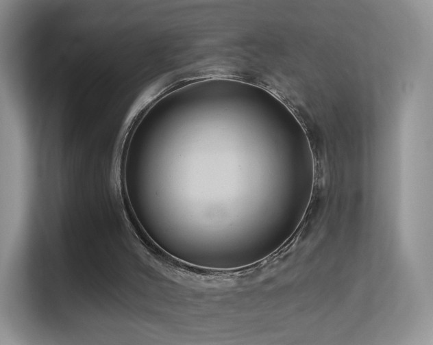 X0000113530004200909250915