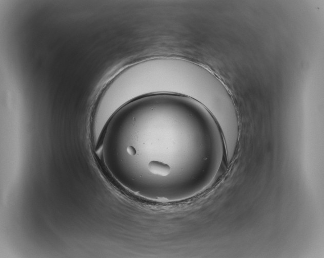 X0000113530005200909250915