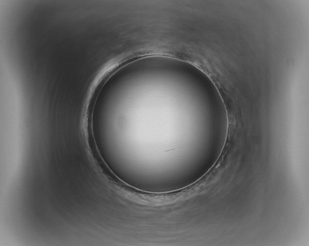 X0000113530006200909250915