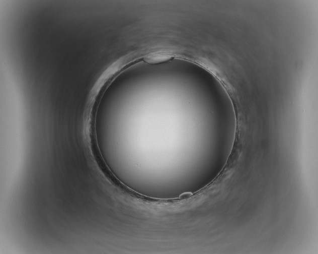 X0000113530007200909250915