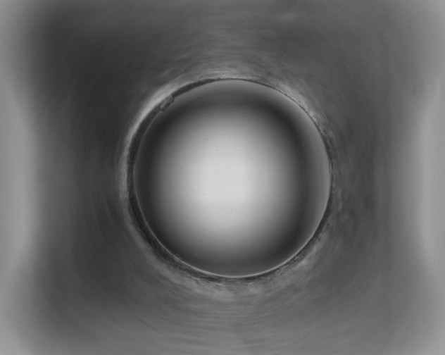 X0000113530008200909250915