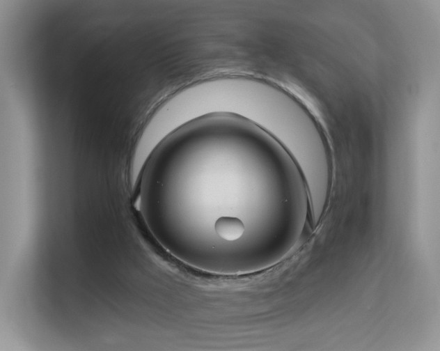 X0000113530009200909250915